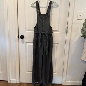 Aerie Charcoal Denim Overalls
